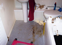 Criccieth Cleaning